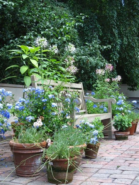 17 Suprising Container Garden Courtyard That Will Replenish Your Energy