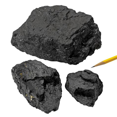 Sedimentary Rocks Bituminous Coal 1 Kg Sedimentary Rocks Online