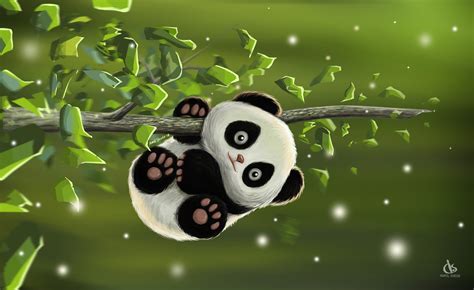 Panda Hd Wallpaper By Amol Shede