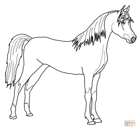 clydesdale horse coloring pages  getcoloringscom  printable colorings pages  print