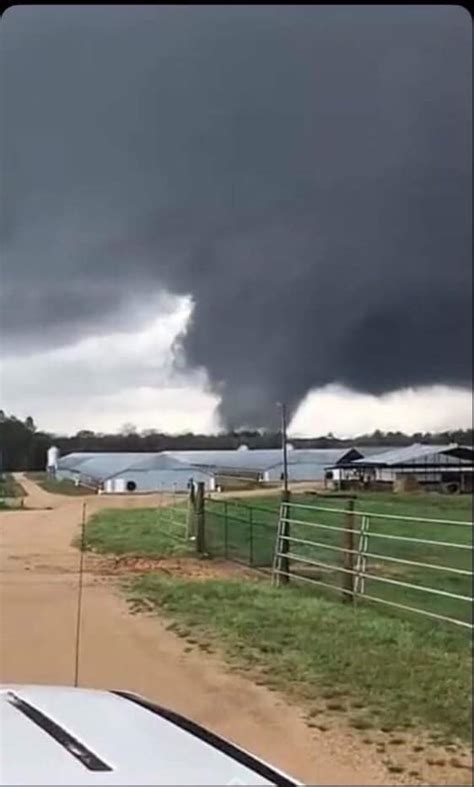 Photos Storm Damage Reported During Severe Weather Outbreak In