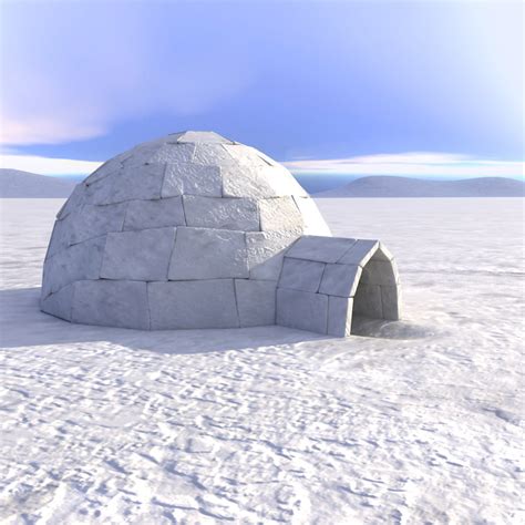 Image Gallery Igloo House