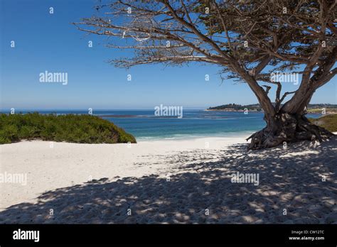 Carmel Beach In Carmel California Usa Stock Photo Alamy