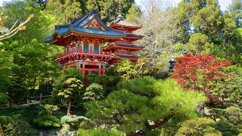 View the menu for japanese tea garden tea house and restaurants in san francisco, ca. Japanese Tea Garden in San Francisco, California | Expedia