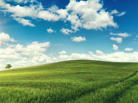 Sunny Day Landscape 4k Wallpapers Hd Wallpapers Images