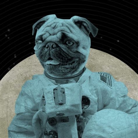 Pug Art Astronaut Pug Space Pug Dog In Space 8x10 Art Etsy Pug Art