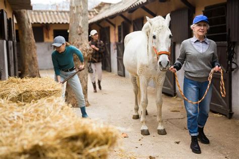 Women Horse Breeders Working In Ranch Stock Image Image Of Equine