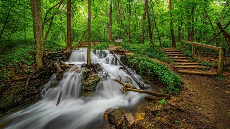 Stairs Forest Waterfall Beautiful Views Wallpapers 2048x1152