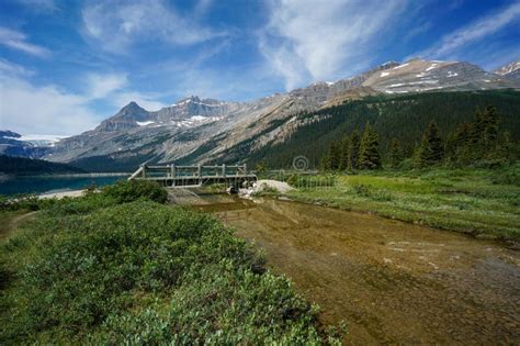 Bow Lake In Banff National Park Stock Image Image Of Mountain Canada