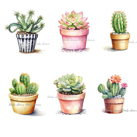 Watercolor Cactus Clip Art Cacti Clipart House Plant Etsy