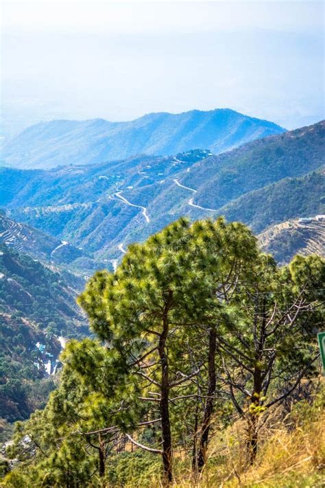 Dagshai Hills View Himachal Pradesh Stock Image Image Of Dabbi Hills