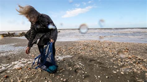 Gale Force Winds In Fort Myers Area Blustery Weather Will Be Gone By Weekend