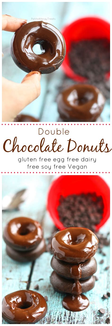 Check out this post for 101 dessert recipes! Double Chocolate Donuts (Vegan Gluten Free Dairy Free Egg ...