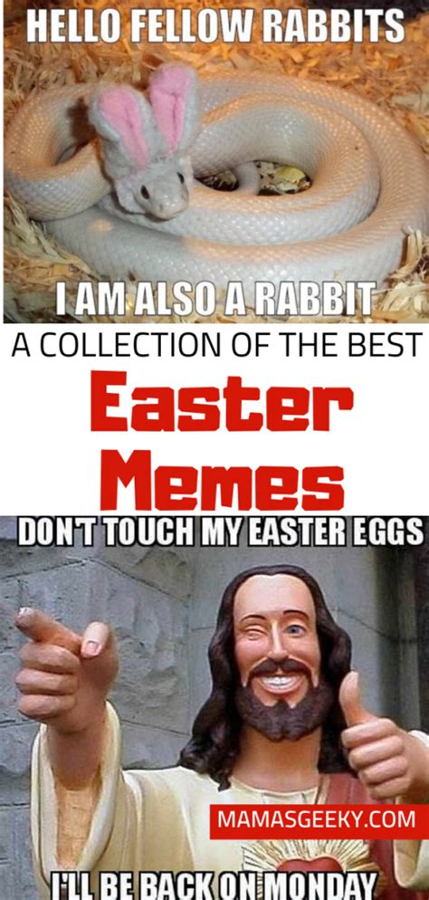 a collection of the best easter memes mama s geeky movie and tv geeks
