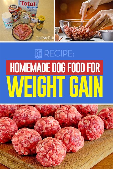 Refrigerated homemade dog food recipes should be consumed within 3 days. Homemade Dog Food for Weight Gain Recipe (Satin Balls Recipe)