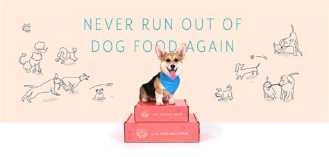Let's get real, you don't have to be a veterinary nutritionist to know good food. Never Run Out of Dog Food Again With BarkChef Subscription ...