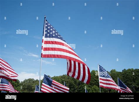 American Flags Blowing In The Wind Stock Photo Alamy