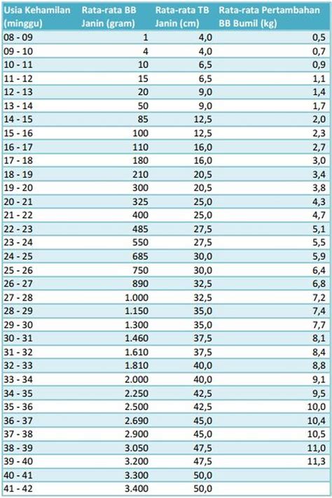 4 minggu = itu sudah harga mati !!! Ini Tandanya Jika Berat Badan Janin Normal dan Sehat ...
