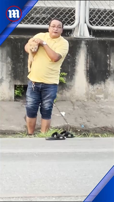 Daily Mail Kind Driver Rescues Helpless Cat From Drain