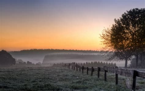 Morning Field Trees Fog Landscape Sunrise