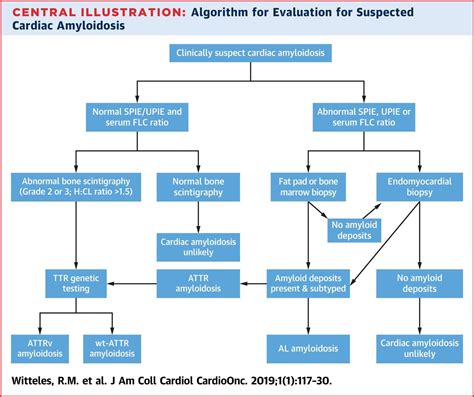Cardiac Amyloidosis Evaluation Algorithm Cardiac Grepmed