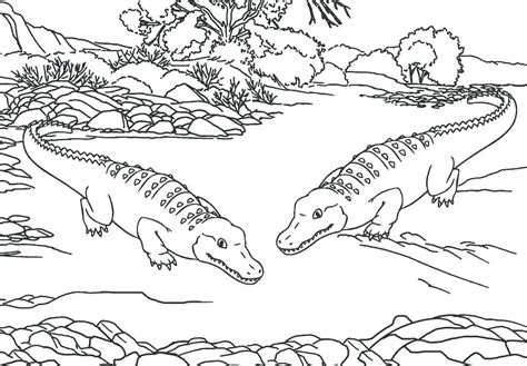 Learn about endangered animals and their babies or prepare for a farm field trip with free animal coloring pages. Zoo Animals Coloring Pages - Best Coloring Pages For Kids