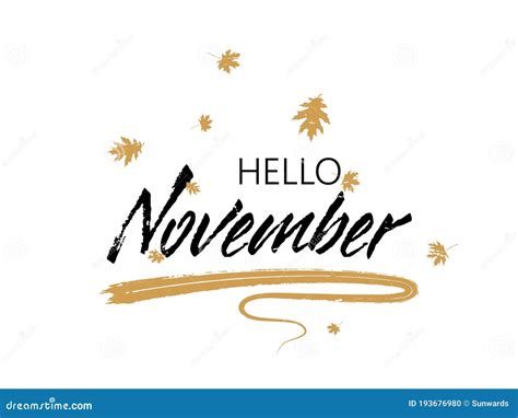 Hello November Autumn Seasonal Banner Stock Vector Illustration Of