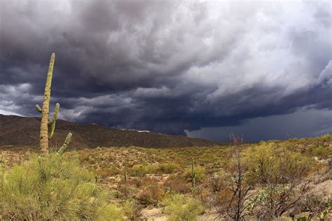 It is the 6th largest and the 14th most populous of the 50 states. Bugs and Ammo: Southern Arizona in Monsoon Season
