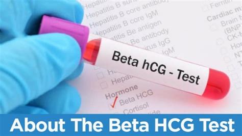 Important Facts You Need To Know About The Beta Hcg Test