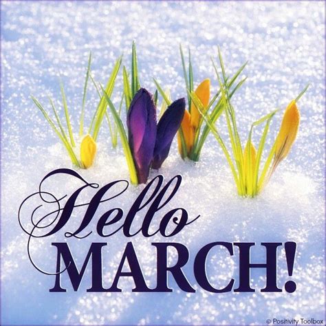 Welcome Hello March Hello March Quotes March Month
