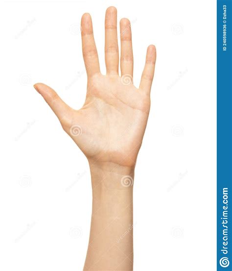 Female Hand Shows Counting Sign Five Finger Isolated On White