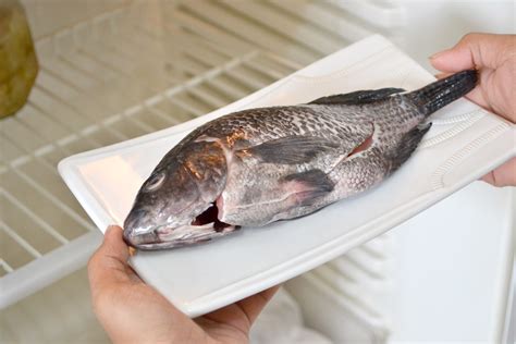 3 Ways To Thaw Frozen Fish Wikihow