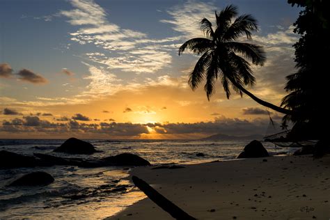Photo Beautiful Silhouette Island Seychelles Sunset Free Pictures On