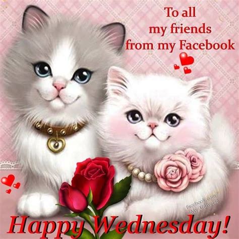 Smiling Kitty Happy Wednesday Quote Pictures Photos And