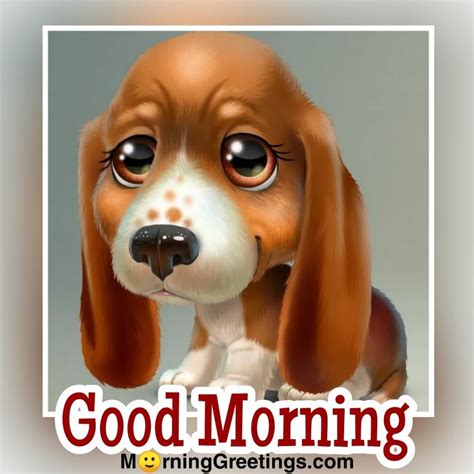 Morning Greetings With Good Morning Cute Dog Images And Quotes