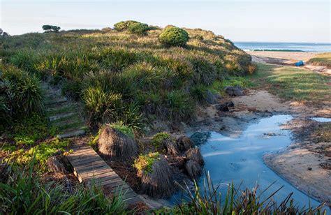 Not just one best beach. Richmond Beach | NSW National Parks