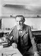 Elie Metchnikoff, Russian biologist - Stock Image - H413/0389 - Science ...