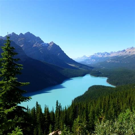 Happy Sunday☀️🤗 Peyto Lake Is A Mountain Lake In Banff National