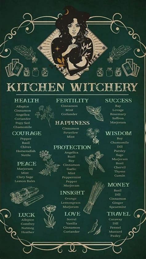 Kitchen Witch Magic Herbs Witch Spell Book Witch Books