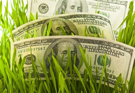 Arizona Artificial Grass Tax Rebate 2023