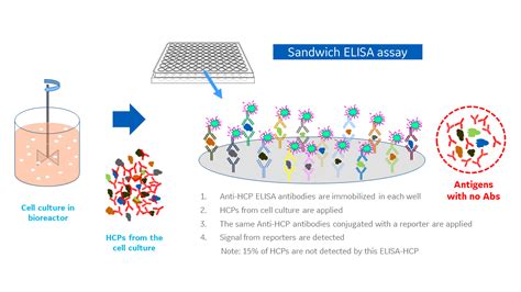 Why Why Why ELISA A Look At The Benchmark HCP Assay Cytiva