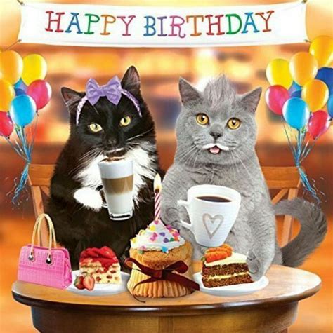 Best Birthday Quotes Happy Birthday Happy Birthday Cat Happy