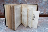 Antiques Atlas - Contarini Fleming By Benjamin Disraeli, Signed Letter