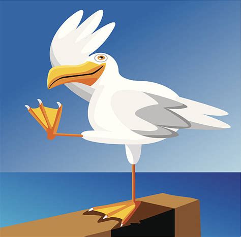 Best Cartoon Of A Funny Seagull Illustrations Royalty