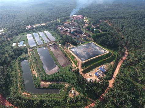 This seamless integration of crude and refined oils derives from its unique composition of liquid. Sawira Palm Oil Mill - Green Lagoon