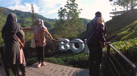 Boh plantation cameron highlands tea 100 bags malaysia tea bags oolong tea. Ladang Teh BOH Sungai Palas - YouTube