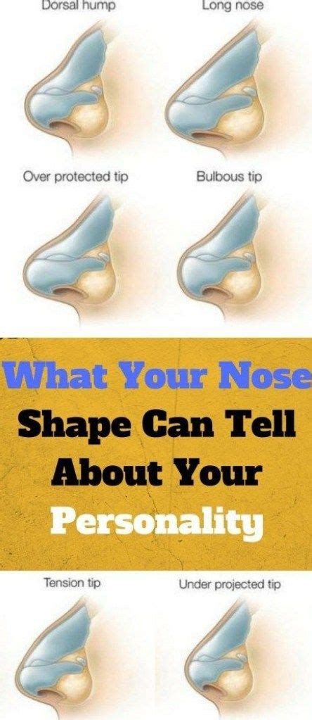 Your Nose Tells A Lot About Your Personality Know What Your Nose Says