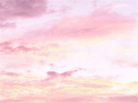 Pink Aesthetic Background Landscape Backlit Bright Pink Sunset