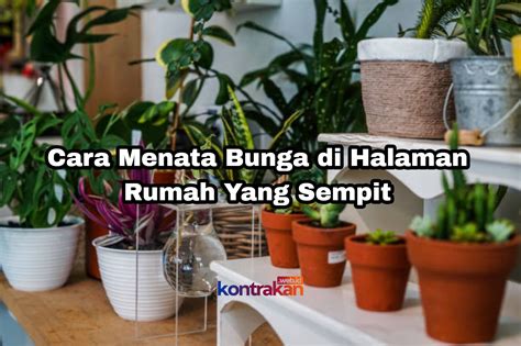 Cara Menata Bunga Di Halaman Rumah Yang Sempit Kontrakan