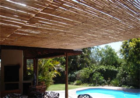 The term bamboo ceiling was coined in 2005 by jane hyun in breaking the bamboo ceiling: Bamboo Ceilings — Brightfields Natural Trading Company